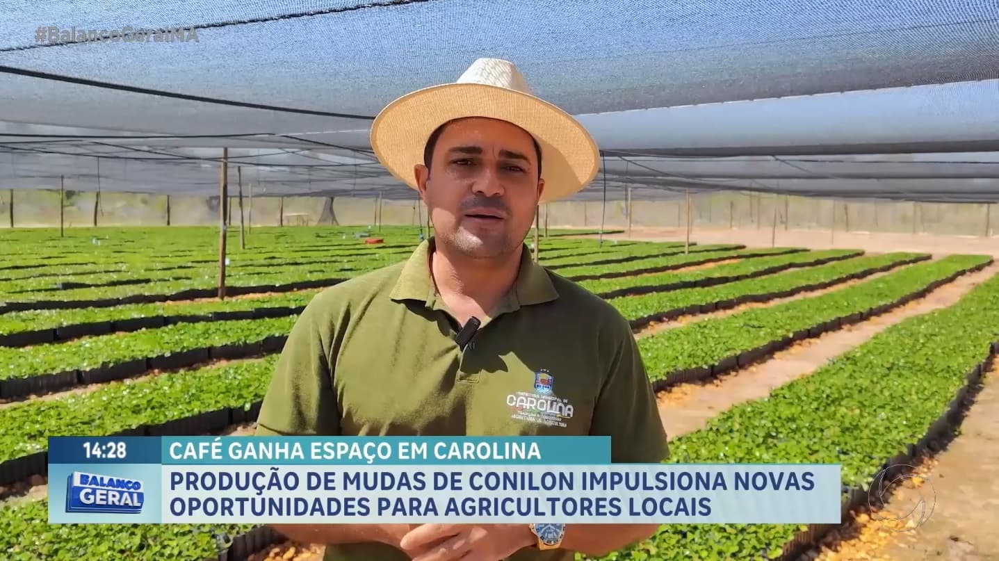 Agro Record: no Maranhão, Carolina se destaca por produção de café conilon
