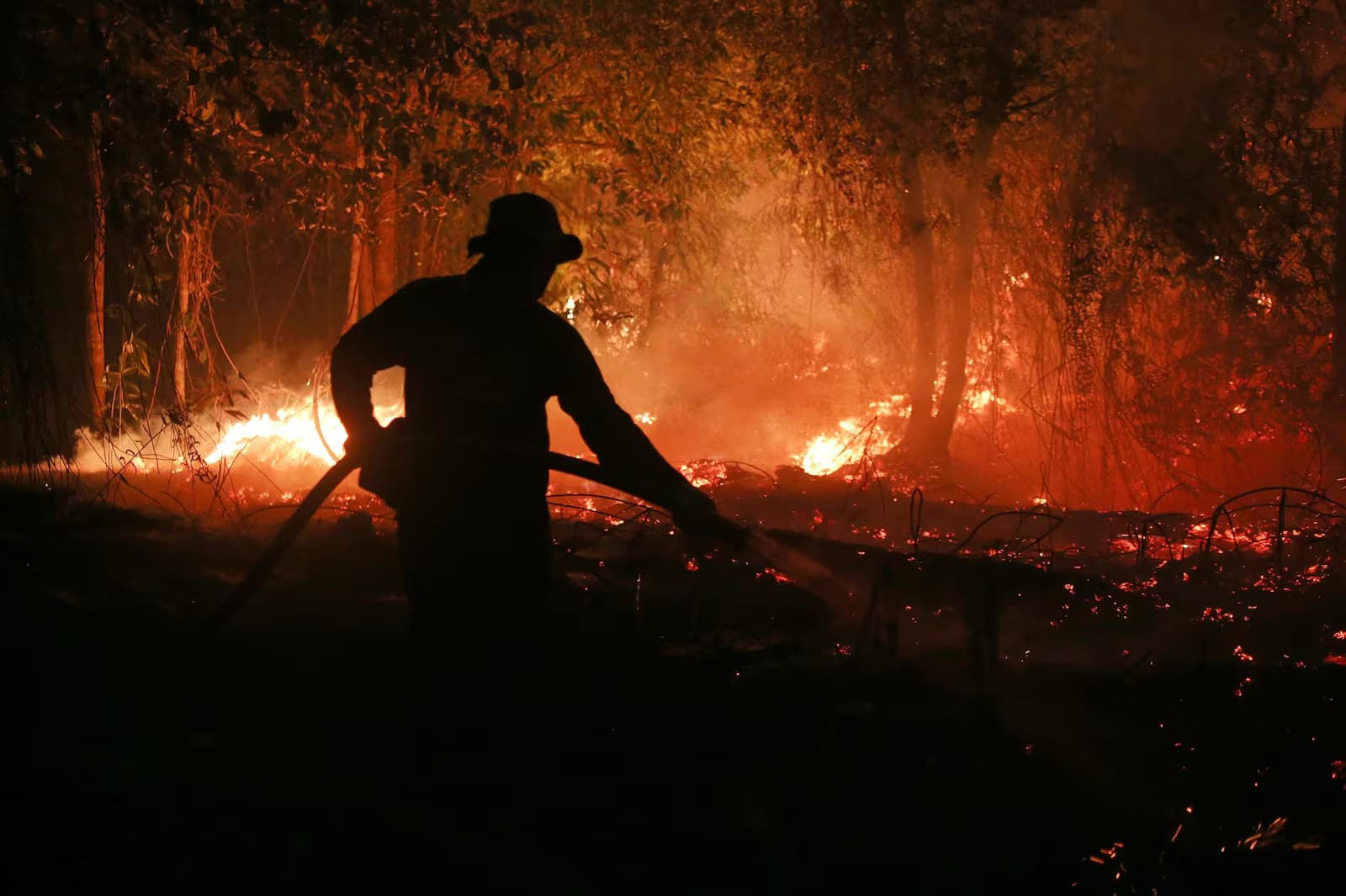 El Niño sobe para o status de ‘super’: entenda o que isso significa para o clima