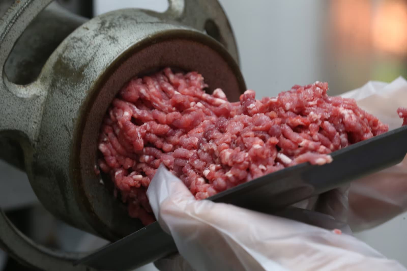 UE diz que suspenderá importações de carne do Brasil a partir de 3 de setembro
