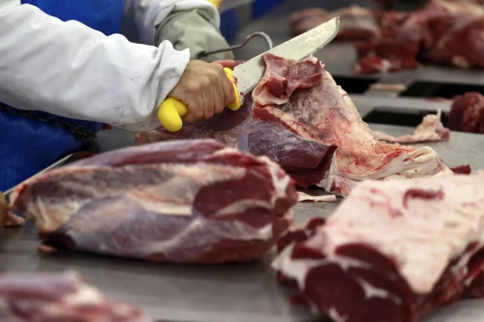 União Europeia suspende importação de carnes do Brasil a partir desta quinta