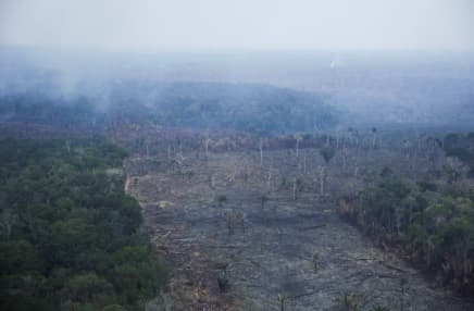 Governo federal mobiliza ministros e Forças Armadas contra incêndios em Manaus