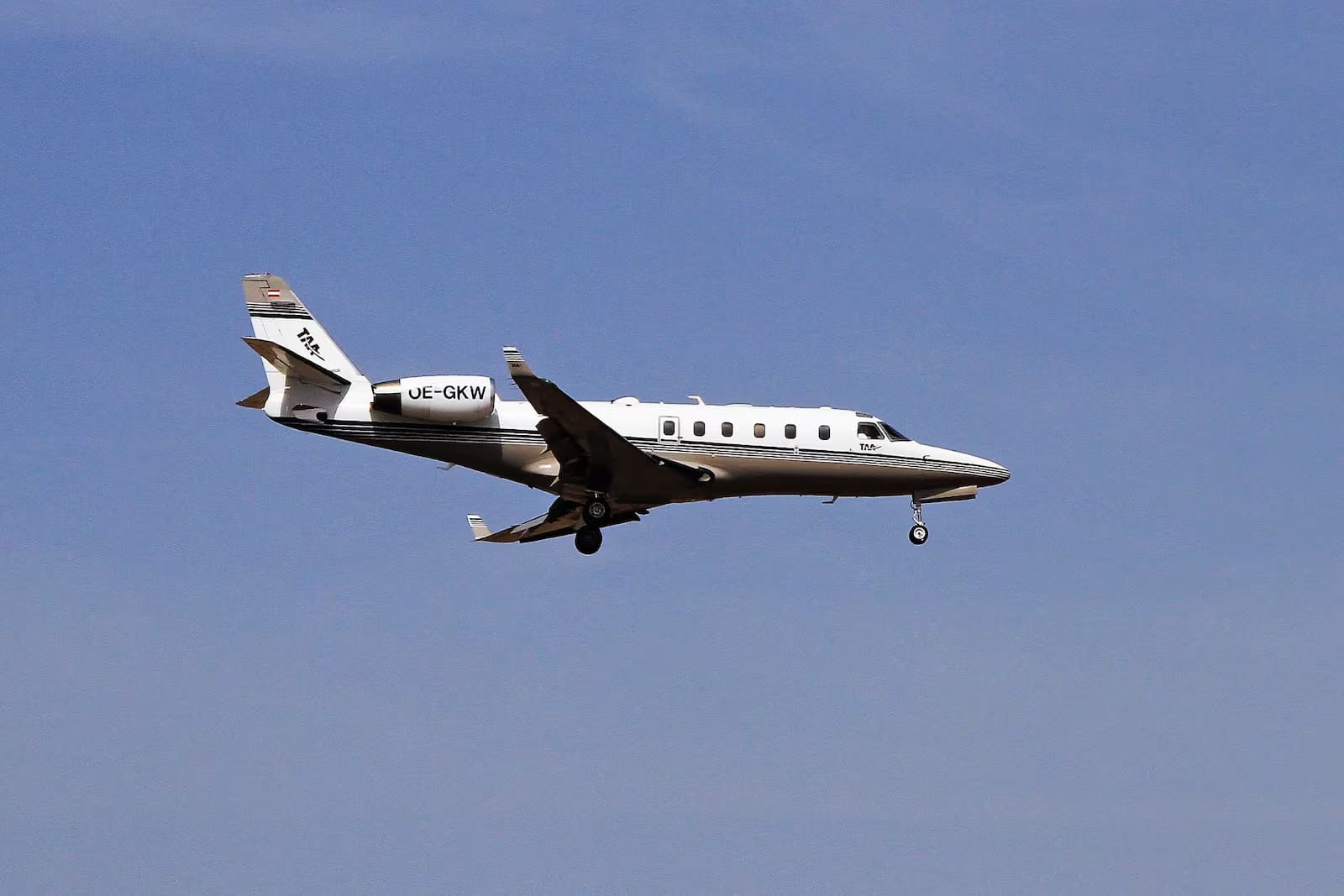 Avião com equipe médica e paciente desaparece na costa leste dos EUA