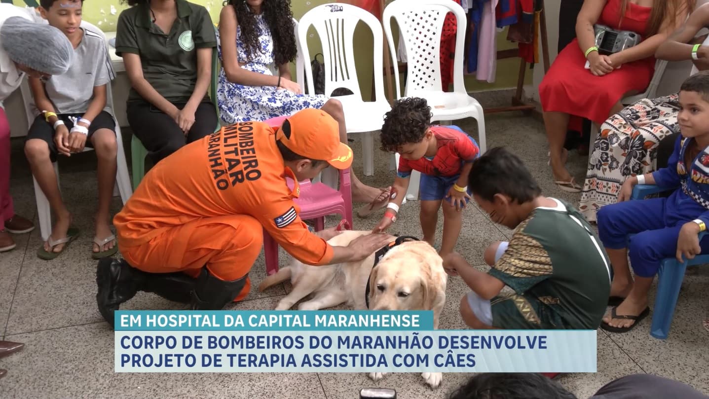 Projeto do Corpo de Bombeiros do Maranhão leva cães a crianças em tratamento hospitalar
