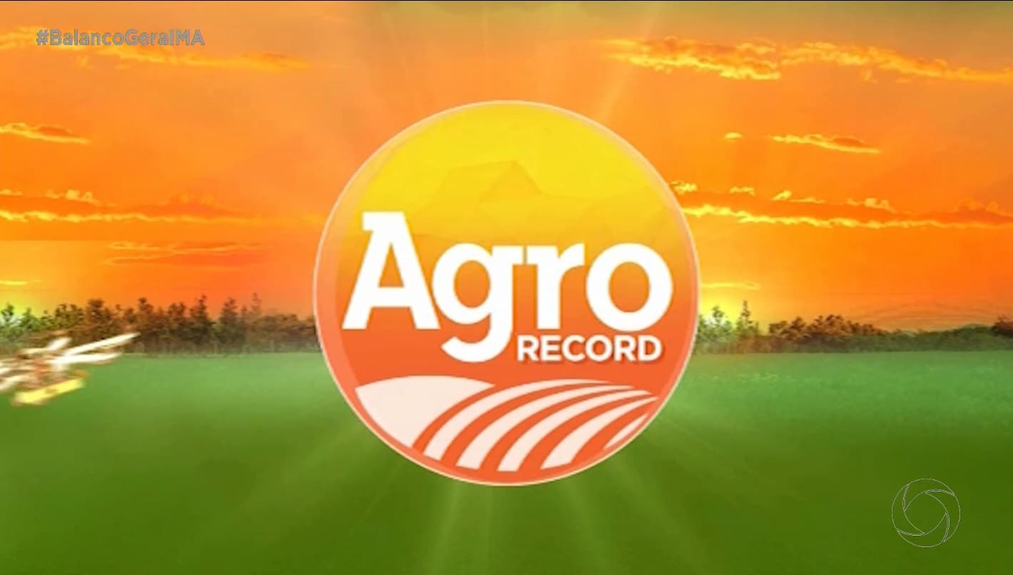 Agro Record: destaca mercado do boi gordo e empreendedorismo feminino no Maranhão