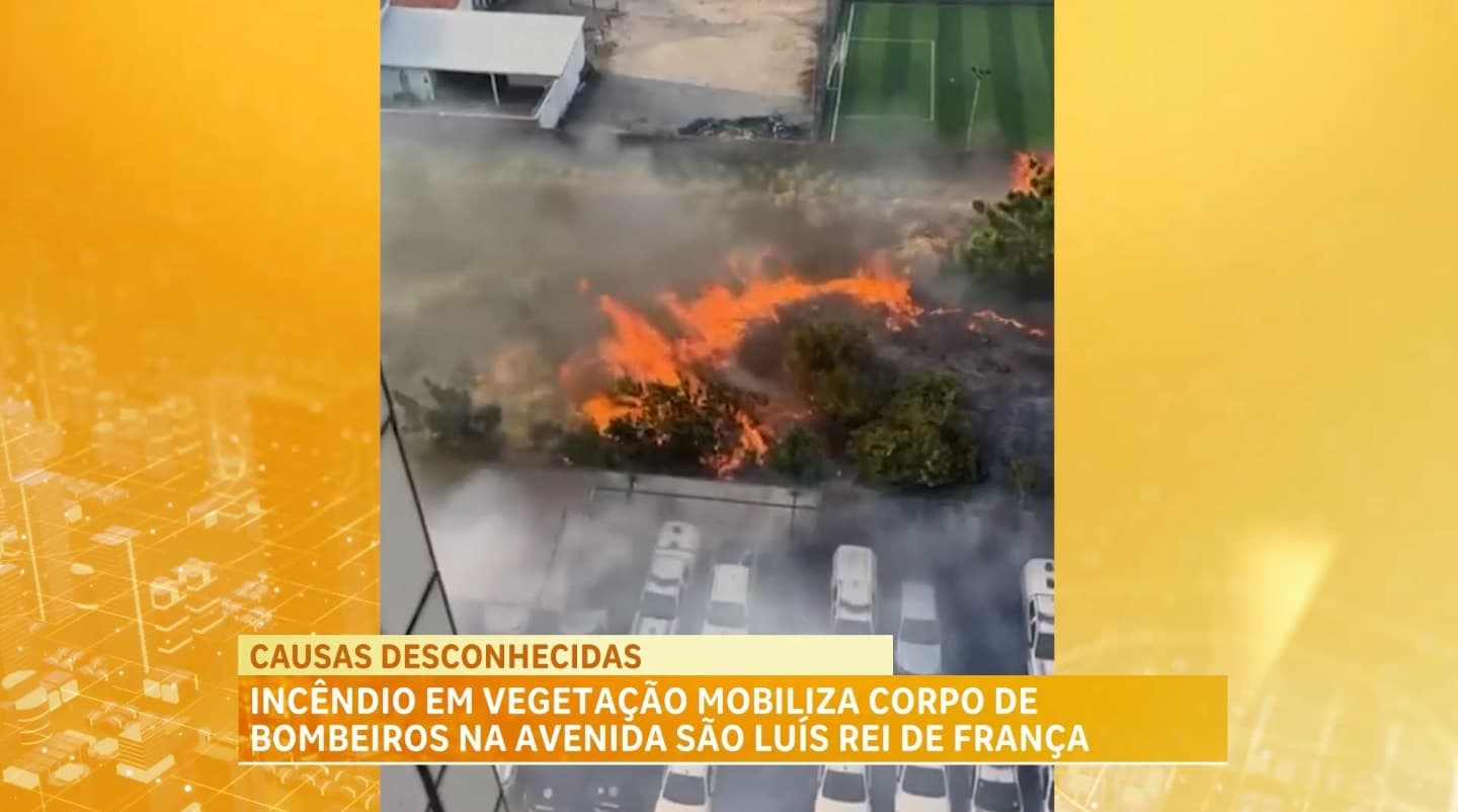 Incêndio em vegetação mobiliza Corpo de Bombeiros no Turu, em São Luís