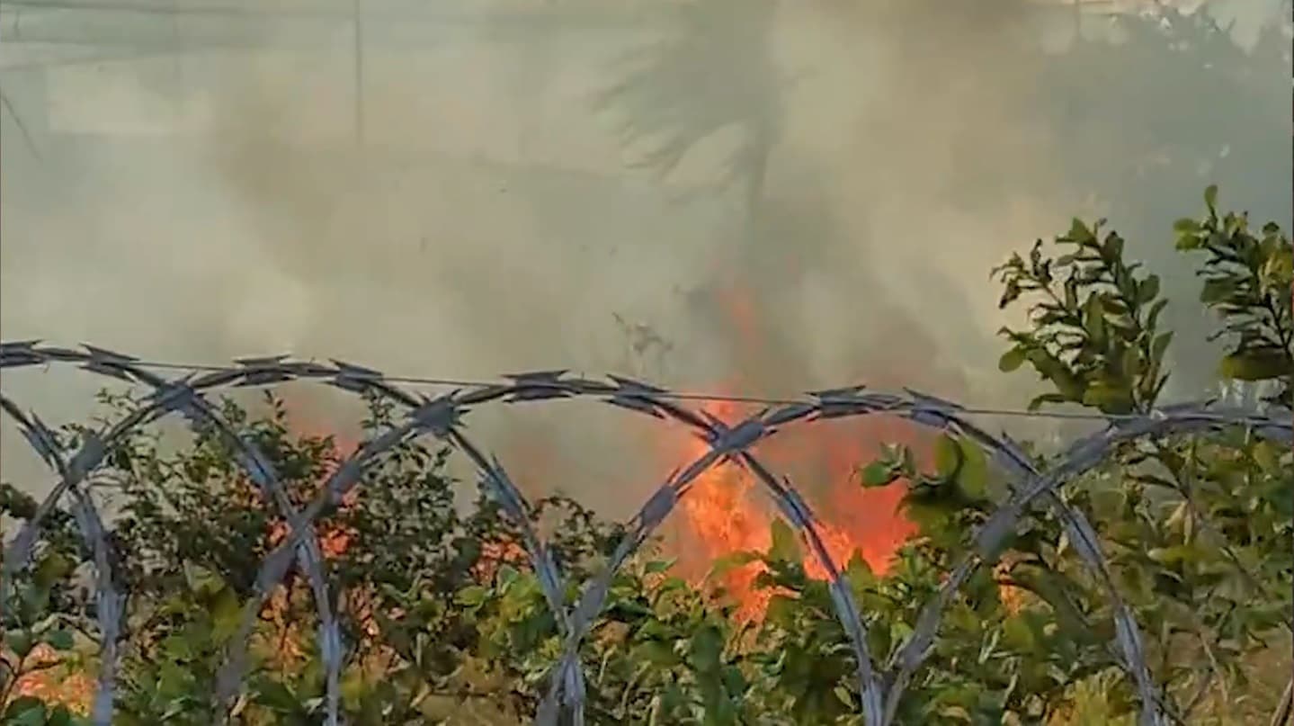 Incêndio atinge vegetação próxima à Avenida São Luís Rei de França
